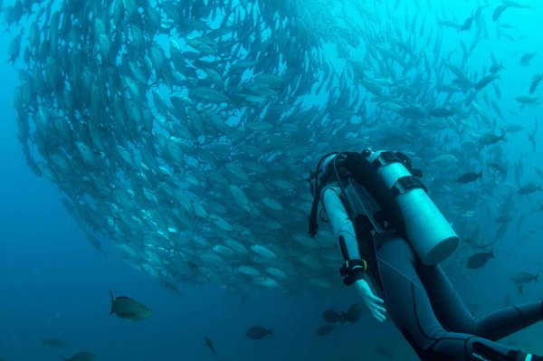 Quelles sont les différences entre la pisciculture conventionnelle et biologique ?