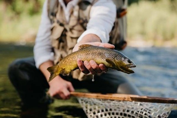 Quels sont les critères de la certification Aquarea ?