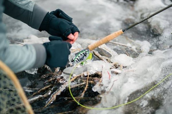 Quand peut-on pêcher à la truite en France ?