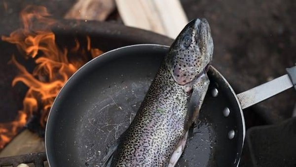 Quelles sont les recettes originales de truites ?