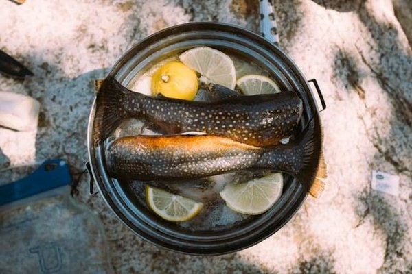 Quels accompagnements choisir pour sublimer la truite ?